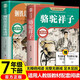 駱駝祥子和鋼鐵是怎樣煉成的七年級下冊必讀課外書(shū)完整無(wú)刪減版送考點(diǎn)指導手冊（全2冊）初中必讀名著(zhù)適用人教版人民教育出版社初一語(yǔ)文教材配套閱讀 老舍原著(zhù)無(wú)障礙學(xué)生推薦閱讀