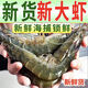 海之幫新鮮青島大蝦超大蝦凍蝦白蝦鮮活冷凍對蝦大號青蝦海鮮批發(fā) 19-22厘米【限時(shí)特價(jià)】超大超肥 3斤(凈重)