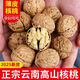 云南新貨丑核桃原味薄殼高山老樹(shù)核桃2025堅果孕婦零食產(chǎn)地直發(fā) 5斤 無(wú)水洗無(wú)漂白無(wú)添加 送夾子 精選云南高山老樹(shù)一級薄皮核桃