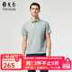 雅戈爾（YOUNGOR）短袖POLO衫男可機洗桑蠶絲混紡無(wú)縫壓合隨性不易變形2025新品 淺灰VSZS513119ECA 2XL （推薦165-180斤）