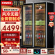 星星（XINGX）展示柜冷藏保鮮柜網(wǎng)紅啤酒柜風(fēng)冷無(wú)霜雙開(kāi)門(mén)飲料展示柜立式商用酒吧酒水全屏機IVGC-2D-6520W