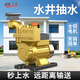 名磊（mlnGLel） 直流抽水機家用抽水泵水井便攜式小型自吸泵 48V-60V直流自吸泵