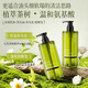 植貝茶樹(shù)控油凈透洗發(fā)水洗發(fā) 蓬松持久留香家用 一瓶裝