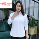 皮爾卡丹（pierre cardin）100純棉大尺碼長(cháng)袖白襯衫女胖m妹0斤加I肥職業(yè)工作服襯衣正裝 白色長(cháng)/袖暗扣/防走光 8XL 建議190-230斤