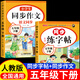 【正版推薦】五年級下冊練字帖人教版2026新版小學(xué)語(yǔ)文五年級上冊下冊同步練字帖寫(xiě)字課課練5年級小學(xué)生課本生字練習上下學(xué)期鋼筆習字帖部編版 【五下2本】語(yǔ)文字帖+同步作文