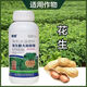 珺顏花生膨壯粒粒飽寶花生專(zhuān)用膨大劑分叉下針劑增產(chǎn)增收水溶葉面肥料 500克*20瓶