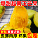 鮮福林現貨越南進(jìn)口玉芒青芒水果當季新鮮甜心芒果大芒果包郵 試吃3斤裝單果200g+