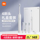 米家小米電動(dòng)牙刷T302成人/學(xué)生 4種凈齒模式 150天續航 4支刷頭 銀灰色生日禮物 送男女友禮物