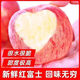 鮮級佳山東現摘紅富士蘋(píng)果 當季時(shí)令鮮果整箱現發(fā)-水果 單果160g+  3-5個(gè)