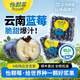 怡顆莓【顆顆飽滿(mǎn)】當季云南藍莓 國產(chǎn)藍莓 新鮮水果送禮 云南當季125g*6盒（12mm+）