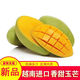 集南鮮 越南青玉芒果 芒果當季大青皮黃皮大芒果新鮮水果整箱 含箱5斤  單果250g起  凈重4.5斤