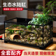 ZHIYAO生態(tài)缸造景玻璃缸小型別墅綠植水草苔蘚造景水陸?hù)~(yú)龜混養專(zhuān)用缸 60長(cháng)*33寬*30高cm深泉疊瀑全套【成品發(fā)貨】