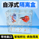 坤寧王*孔雀魚(yú)繁殖盒魚(yú)缸隔離盒斗魚(yú)小魚(yú)苗孵化盒獨立產(chǎn)卵房雙層特大號