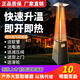 華颯戶(hù)外燃氣取暖器塔型取暖機液化氣移動(dòng)式取暖爐天然煤氣酒吧庭院別墅真火取暖爐 黑色塔型液化氣
