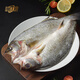 漁江渡山姆同款珠海斗門(mén)白蕉海鱸魚(yú)速凍鎖鮮魚(yú)三去免調味處理生鮮食材 白蕉海鱸500-550g*2條 1件