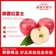 閩農語(yǔ)果正宗陜西紅富士蘋(píng)果水果時(shí)令脆甜丑蘋(píng)果生鮮孕婦水果生鮮整箱蘋(píng)果 走量款：5斤【單果70-80mm】?jì)糁?.5斤