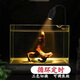 燕之雁 南美缸射燈 循環(huán)定時(shí) 三色變光 可調焦  魚(yú)缸雨林缸照明水草燈9w
