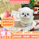 純種韓版比熊幼犬馬爾熊小體寵物狗狗活物短嘴卷毛血統長(cháng)不大 血統級 韓版甜美