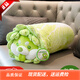 LittleCuCu蔬菜精靈菜狗娃娃抱枕睡覺(jué)玩偶白菜狗公仔毛絨玩具女友小孩禮物 經(jīng)典抱枕70厘米 帶防偽標，尺寸以吊牌為準