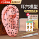 凌云鶴耳穴模型耳朵穴位模型壓豆耳針耳穴貼王不留行籽耳豆貼按摩按壓 19cm按摩耳+耳書(shū)+耳貼+銅筆+鑷子+說(shuō)明書(shū)
