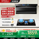 歐派(OPPEIN)【品牌補貼20%】家用油煙機頂側雙吸煙灶套裝變頻大吸力煙機廚房多件套 【9腔定時(shí)兩件套】智能控制語(yǔ)音+定時(shí)雙灶-天然氣