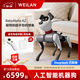 WEILAN BabyAlpha A2 128G 雅致灰 蔚藍阿爾法機器狗 人工智能機器人 AI機器狗 高端禮品禮物