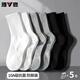 雅鹿襪子男士中筒襪四季吸汗運動(dòng)男襪抑菌純色透氣耐磨休閑襪 抑菌純色高橡筋男中筒-隨機 5雙