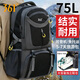 361°旅行雙肩包男背包男士大容量旅游輕便新款登山超大書(shū)包男款 黑色75L【獨立鞋倉+可登機】