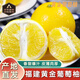 傾睦福建黃金葡萄柚 黃肉蜜柚爆汁當季現摘新鮮黃金柚子孕婦新鮮水果 9斤中果9-12個(gè)【單果250-450g】