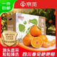 京覓四川春見(jiàn)耙耙柑粑粑柑凈重4.5斤單果140g生鮮水果源頭直發(fā)包郵