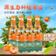 好巧沙糖桔生榨果汁汽水碳酸飲料橘子風(fēng)味夏季消暑四會(huì )特產(chǎn)450ml*15