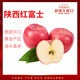 閩域尋鮮正宗陜西紅富士蘋(píng)果水果時(shí)令丑蘋(píng)果生鮮孕婦水果生鮮整箱脆甜蘋(píng)果 10斤家庭裝【75mm+】?jì)糁?.5斤