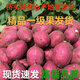 海南澄邁橋頭地瓜(高端品質(zhì))  海南富硒紅薯板栗蜜薯 精品圓果2-7倆單果重5斤 精品圓果2-7倆單果重5斤