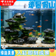 蘭憐魚(yú)缸造景假山石仿真3D生態(tài)龜缸生態(tài)布景觀(guān)樹(shù)脂環(huán)保無(wú)毒裝飾 21*7*11