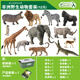 COLLECT英國CollectA我你他仿真動(dòng)物模型玩具野生史前恐龍昆蟲(chóng)海洋套裝 非洲野生組合(12只)送收納箱畫(huà)冊