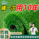 斡爾園林仿真草坪人造假草坪地毯戶(hù)外陽(yáng)臺假草皮草坪墊人工草坪雨棚地墊