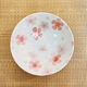 山頭林村現貨日本進(jìn)口美濃燒閃耀珠光釉櫻花陶瓷意面盤(pán)子深盤(pán)子碟子餐具 耀櫻深盤(pán)赤16點(diǎn)5*5
