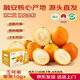 京覓廣西融安第二代脆皮金桔 滑皮金桔 彩盒3斤裝 單果10g+源頭直發(fā)