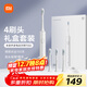 米家小米電動(dòng)牙刷T302成人/學(xué)生 4種凈齒模式 150天續航 4支刷頭 銀灰色生日禮物 送男女友禮物