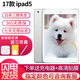 蘋(píng)果/Apple iPad5/6/7/8/9/ mini1/2/3/4/5/6二手平板電腦 9新(9.7寸)17款ipad5代-32G 【wifi版】