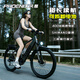 鳳凰（Phoenix）超長(cháng)續航電動(dòng)助力自行車(chē)山地車(chē)成人男女通勤代步輕便可拆卸鋰電池 鳳泰深沉灰-26寸-油碟速度版 36V30AH-助力續航100KM