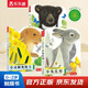 亮麗精美觸摸書(shū)-小兔比利/小熊波比/小水獺奧斯卡（套裝3冊）0-2歲幼兒?jiǎn)⒚煞抡嬗|感觸摸書(shū)低幼認知繪本可點(diǎn)讀省錢(qián)卡
