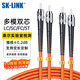 SK-LINK 光纖跳線(xiàn) ST-ST千兆多模雙芯UPC光纖線(xiàn)收發(fā)器OM2尾纖50/125um低煙無(wú)鹵2米 SK-TX1GMM-2STST2M