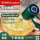 榮事達（Royalstar） 打蛋器電動(dòng)家用手持奶油打發(fā)器廚房打蛋機無(wú)線(xiàn)迷你烘焙攪拌器 高貴綠【續航+快速打發(fā)+充電式】家用便捷