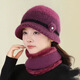 察今新款中老年人冬天女款帽子老太太媽媽保暖加絨羊毛呢盆帽洋氣百搭 毛毛花大檐-紫色【單帽】