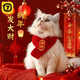 柒哦貓咪圍脖圍巾寵物小狗可愛(ài)項圈毛線(xiàn)狗狗保暖紅色喜慶新年寵物配飾 新年圍巾【招財】 長(cháng)45cm寬5cm（適合5-20斤寵物）