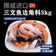 皇丞名肴挪威進(jìn)口三文魚(yú)邊角料 鮮凍魚(yú)皮魚(yú)頭骨碎肉狗糧貓飯 燒烤煲湯食材 【3包】三文魚(yú)邊角料 1000g /包