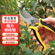 春曄修枝剪刀園藝剪刀 園林果樹(shù)剪修枝剪省力剪子修剪樹(shù)枝 黃黑色