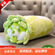 LittleCuCu蔬菜精靈菜狗娃娃抱枕睡覺(jué)玩偶白菜狗公仔毛絨玩具女友小孩禮物 經(jīng)典抱枕55厘米 帶防偽標，尺寸以吊牌為準