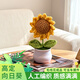 悠梵萌手工編織毛線(xiàn)花太陽(yáng)花束成品仿真花盆擺件節日禮品送女友